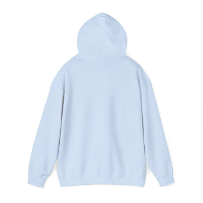 Unisex Hoodies - Yonce for Congress Hoodie (Front Imprint Only)